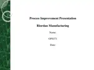 Process Improvement Presentation - Riordan Manufacturing