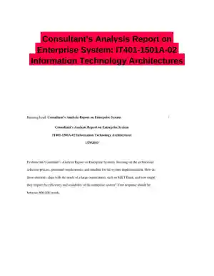 Consultant�s Analysis Report on Enterprise System: IT401-1501A-02 Information Technology Architectures