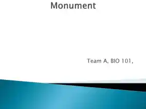 Assignment #3 � XLM C - COIS-3380, Management Info Sys, Summer 2015