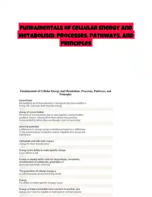 Fundamentals of Cellular Energy and Metabolism: Processes, Pathways, and Principles