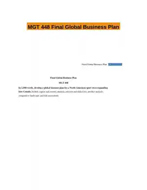 MGT 448 Final Global Business Plan