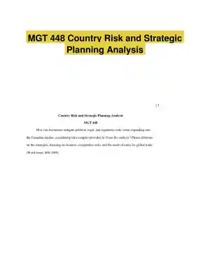 MGT 448 Country Risk and Strategic Planning Analysis