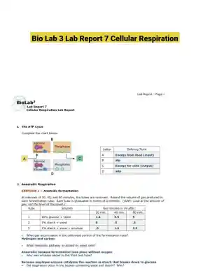 Bio Lab 3 Lab Report 7 Cellular Respiration
