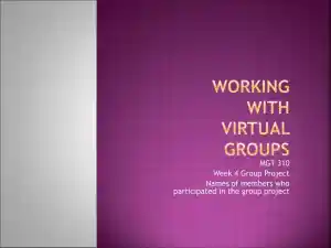 Final Global Business Plan Presentation - MGT 448