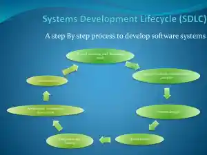 What Walmart Needs - TEAM A MEMBERS