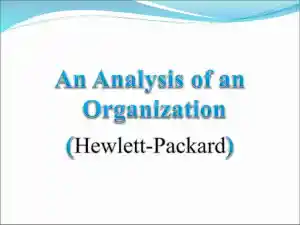 An Analysis Of An Organization (Hewlett-Packard)