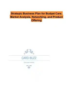 Strategic Business Plan for Budget Cars: Market Analysis, Networking, and Product Offering