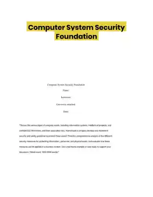 Computer System Security Foundation