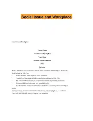 Social Issue and Workplace