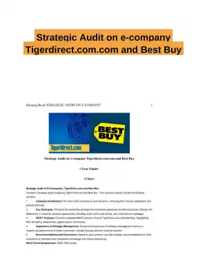Strategic Audit on e-company Tigerdirect.com.com and Best Buy