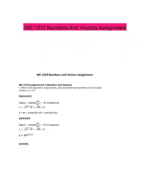 WE 1310 Numbers And Vectors Assignment