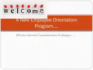 Effectiveness Of a Team