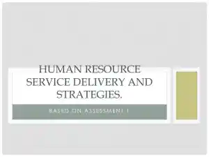 Human Resource Service Delivery And Strategies