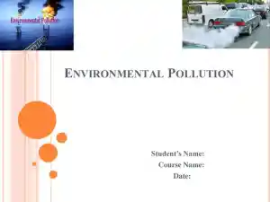 Environmental Pollution