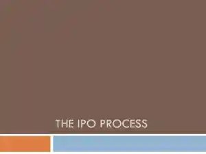 The Ipo Process