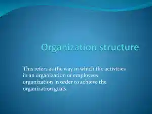 Organization Structure
