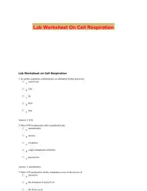 Lab Worksheet On Cell Respiration