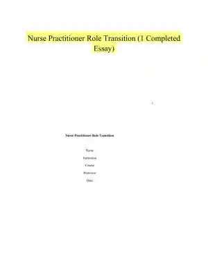 Nurse Practitioner Role Transition (1 Completed Essay)
