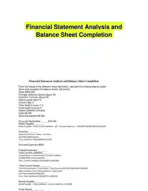 Financial Statement Analysis and Balance Sheet Completion