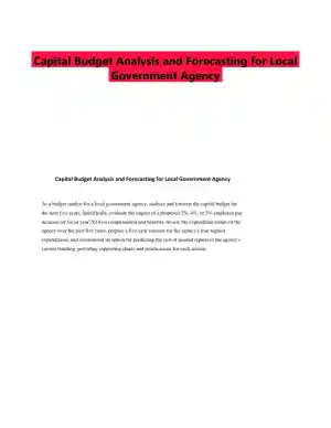 Capital Budget Analysis and Forecasting for Local Government Agency