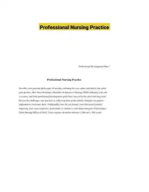 Professional Nursing Practice