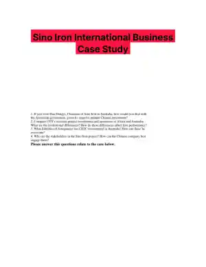 Sino Iron International Business Case Study