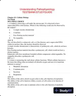 Understanding Pathophysiology 6th Edition Test Bank