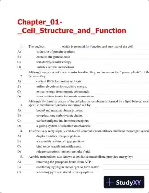 Test Bank For Essentials Of Pathophysiology: Concepts Of Altered Health States Third, North American Edition