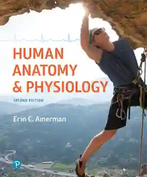 Cover of Human Anatomy And Physiology by Erin E. Mazur, Nancy A. Litch