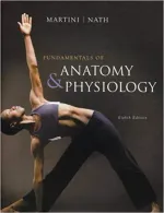 Fundamentals Of Anatomy And Physiology by Frederic H. Martini, Judi L. Nath, Edwin F. Bartholomew - Image 1