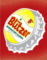 Introductory Algebra For College Students by Robert F. Blitzer - Image 1