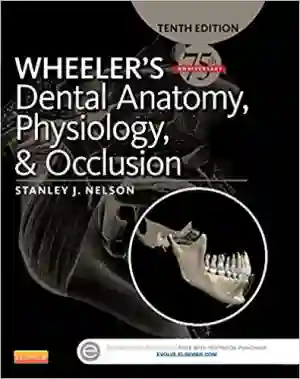 Cover of Wheeler's Dental Anatomy, Physiology And Occlusion: Expert Consult by Stanley J. Nelson