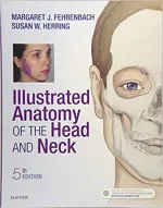 Illustrated Anatomy Of The Head And Neck by Margaret J. Fehrenbach RDH MS, Susan W. Herring PhD - Image 1