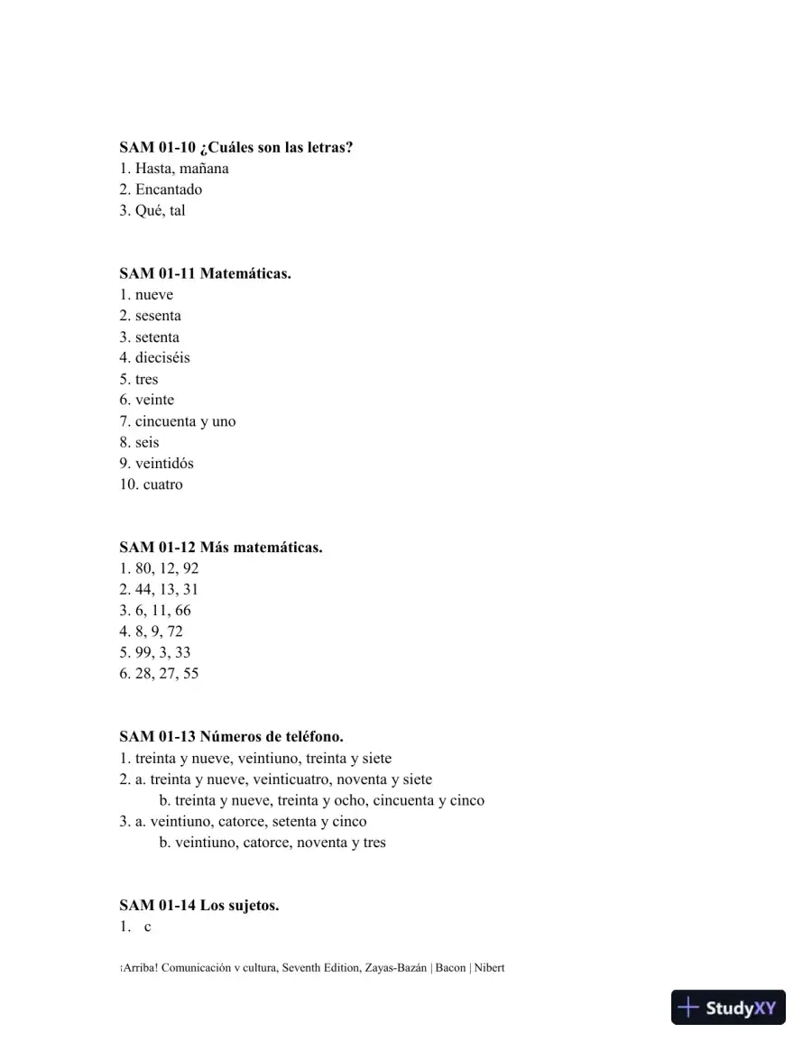 Solution Manual for 'Arriba!: comunicaci'n y cultura Brief, 7th Edition, page 4