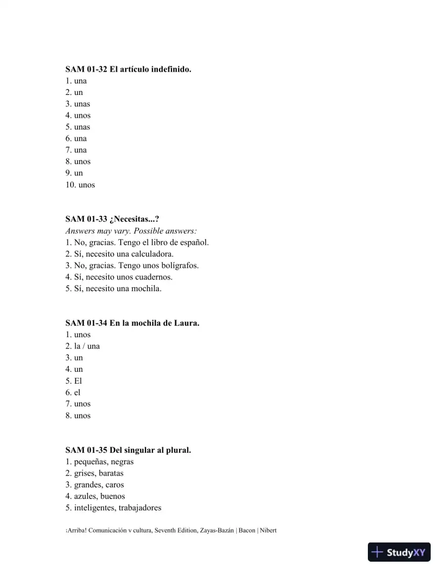 Solution Manual for 'Arriba!: comunicaci'n y cultura Brief, 7th Edition, page 9