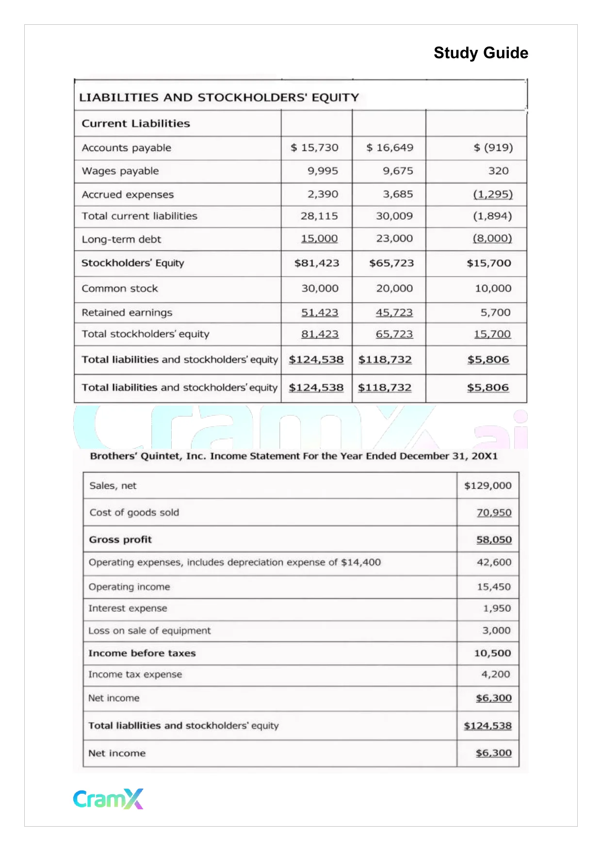 Accounting Principles II – Statement of Cash Flows - Page 10 preview image