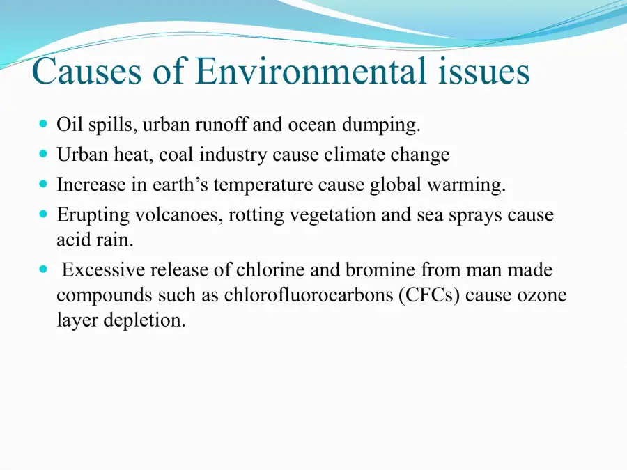 Environmental Analysis Presentation, page 2