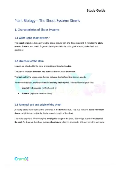 Plant Biology - The Shoot System Stems - Page 1 preview image