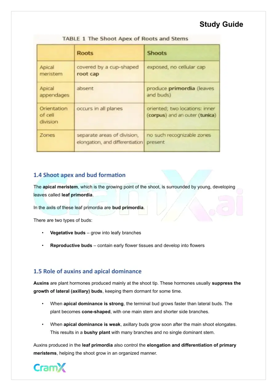 Plant Biology - The Shoot System Stems, page 2