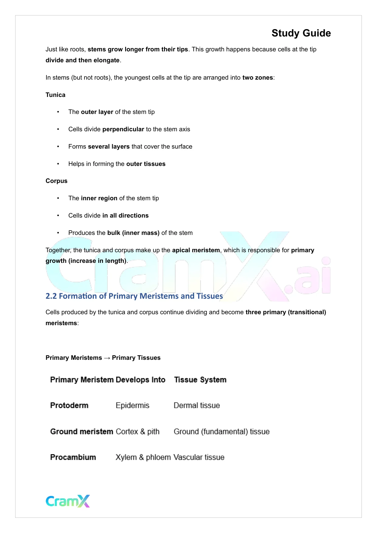 Plant Biology - The Shoot System Stems - Page 4 preview image