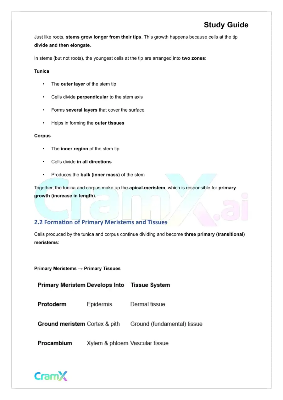 Plant Biology - The Shoot System Stems, page 4
