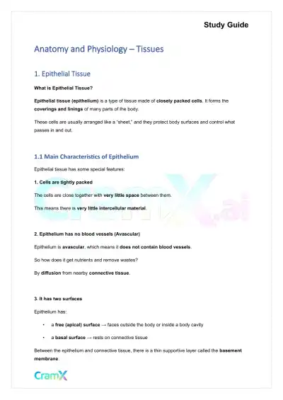 Anatomy and Physiology - Tissues - Page 1 preview image
