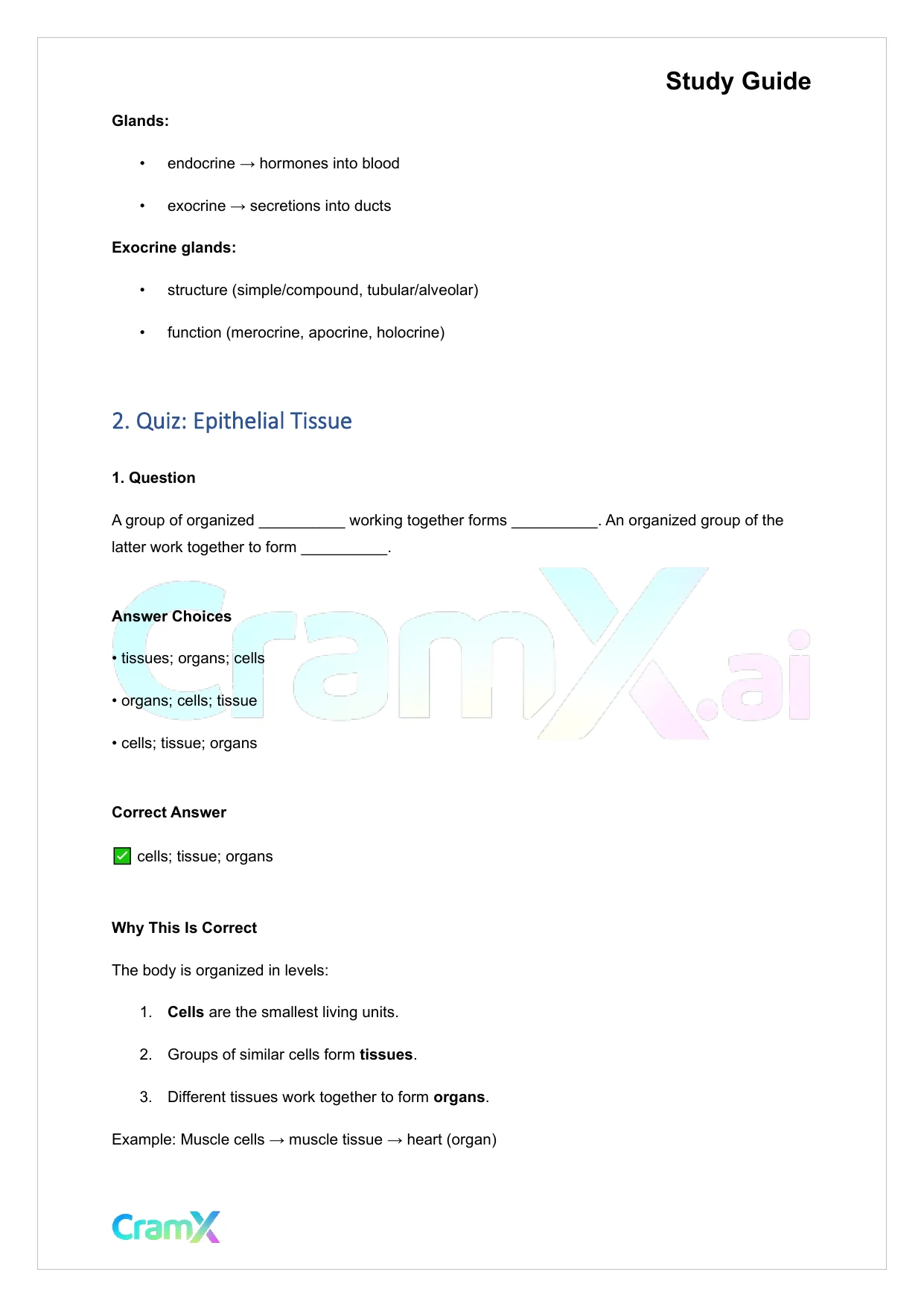 Anatomy and Physiology - Tissues - Page 10 preview image