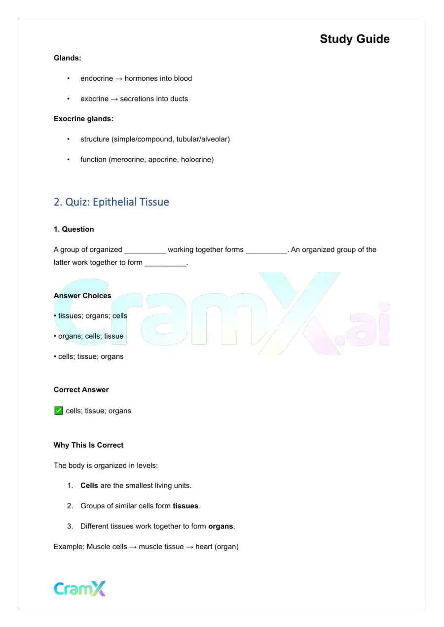 Anatomy and Physiology - Tissues, page 10