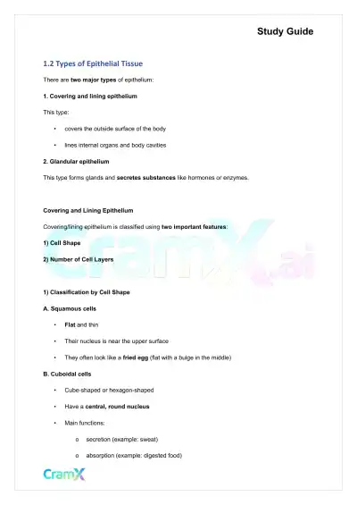 Anatomy and Physiology - Tissues - Page 2 preview image