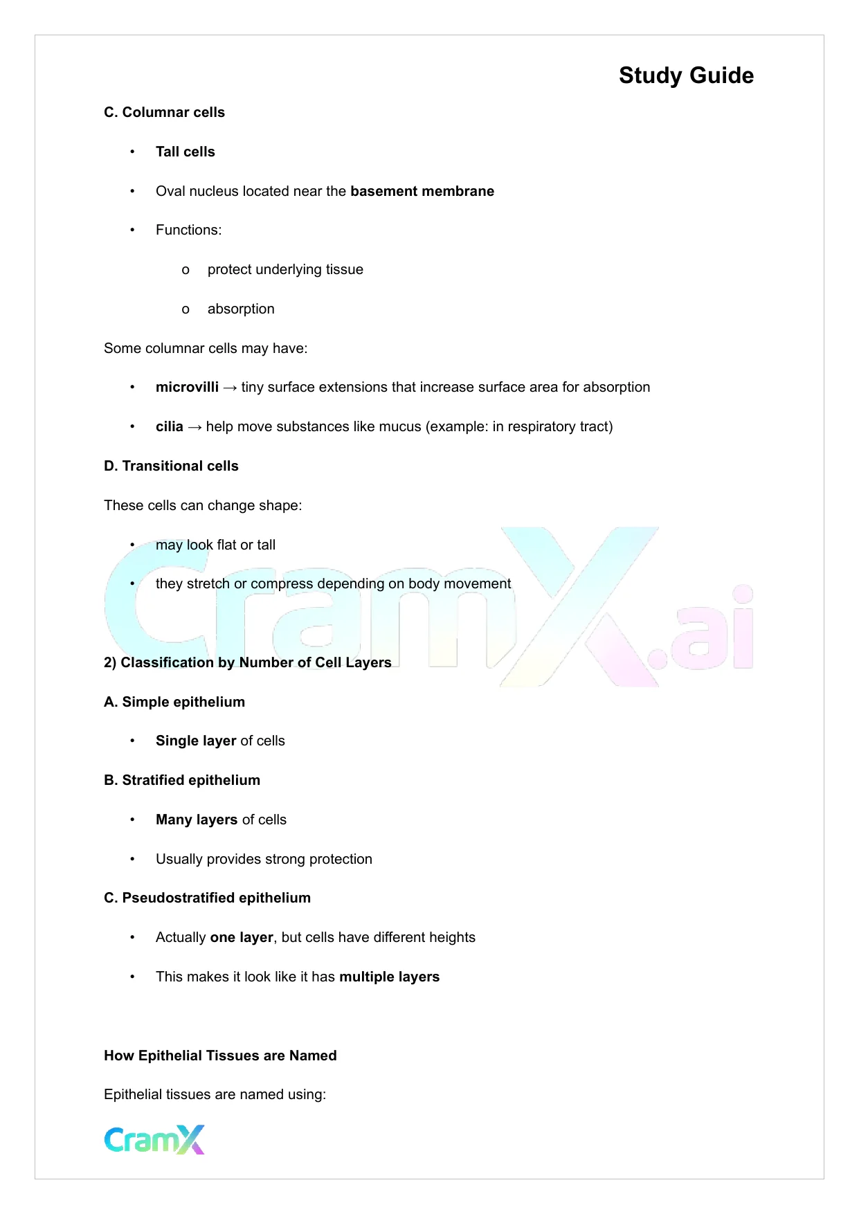 Anatomy and Physiology - Tissues - Page 3 preview image