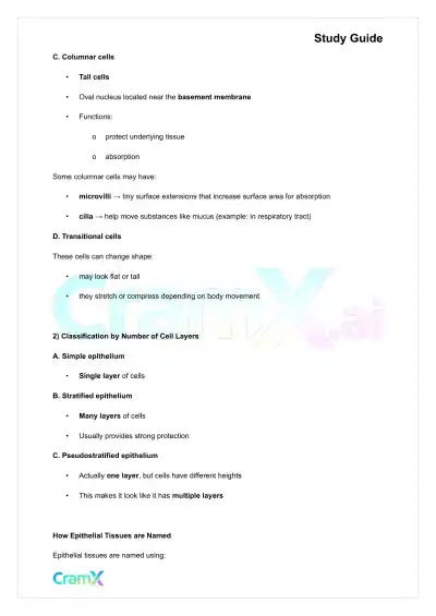 Anatomy and Physiology - Tissues - Page 3 preview image