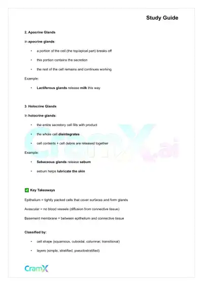 Anatomy and Physiology - Tissues - Page 9 preview image