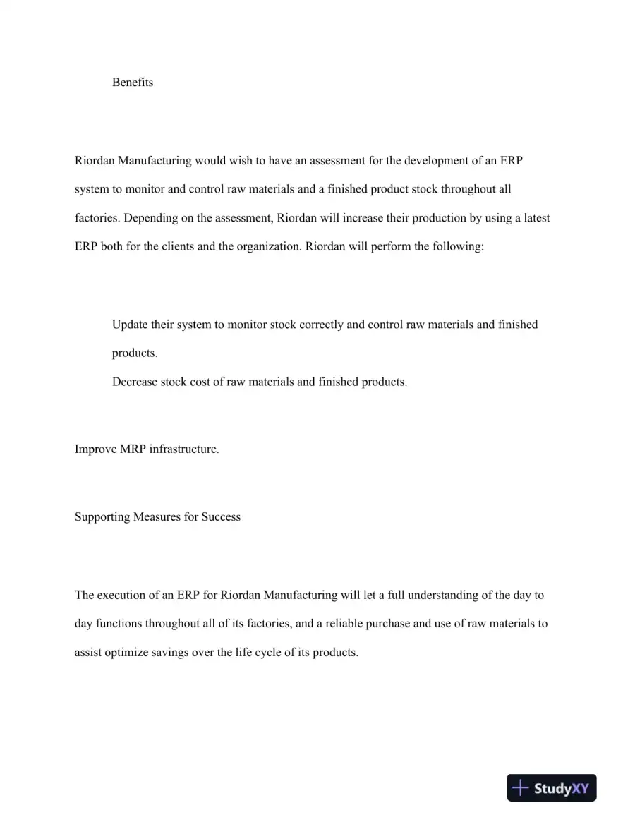 BSA 400 Riordan: Development of an ERP System Final Report, page 4