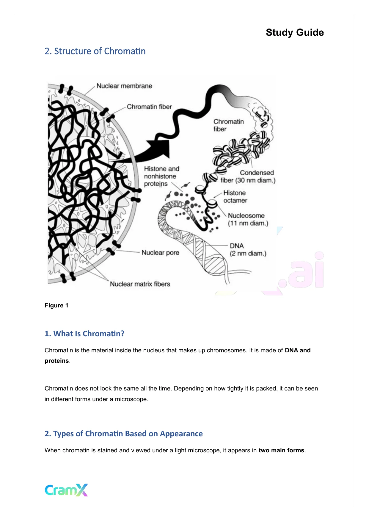 Biochemistry-II - Eukaryotic Genes - Page 3 preview image